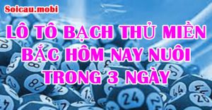 Lô tô bạch thủ miền bắc hôm nay nuôi trong 3 ngày