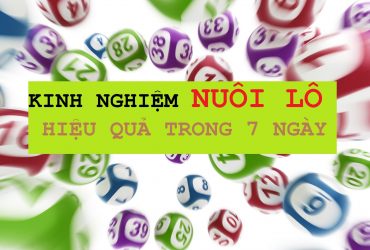 lô gan miền nam